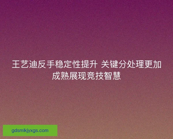王艺迪反手稳定性提升 关键分处理更加成熟展现竞技智慧