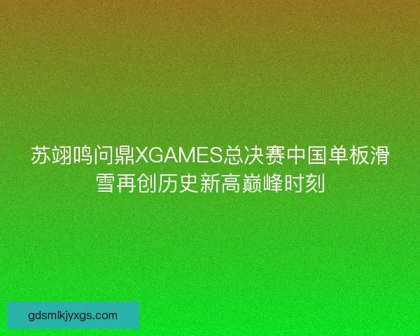 苏翊鸣问鼎XGAMES总决赛中国单板滑雪再创历史新高巅峰时刻