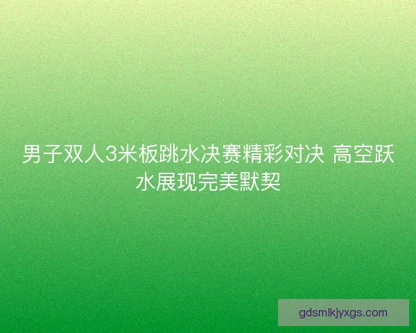 男子双人3米板跳水决赛精彩对决 高空跃水展现完美默契