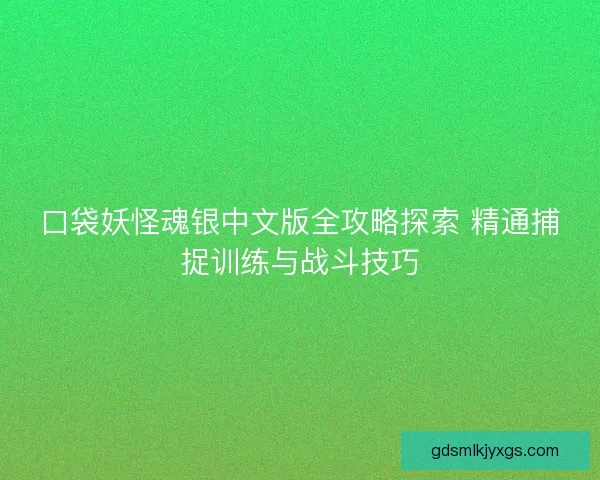 口袋妖怪魂银中文版全攻略探索 精通捕捉训练与战斗技巧