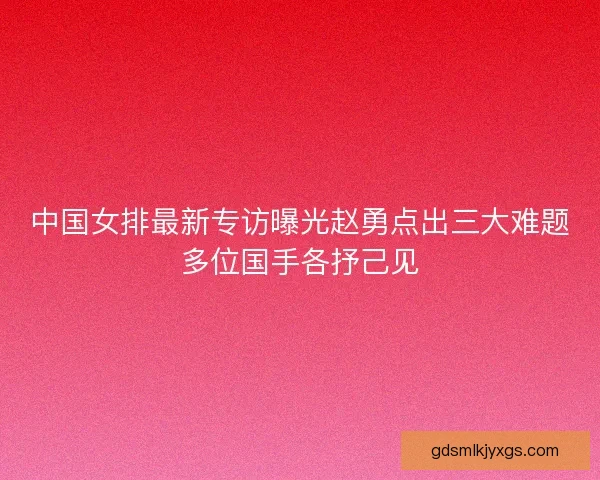 中国女排最新专访曝光赵勇点出三大难题多位国手各抒己见