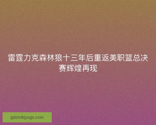 雷霆力克森林狼十三年后重返美职篮总决赛辉煌再现